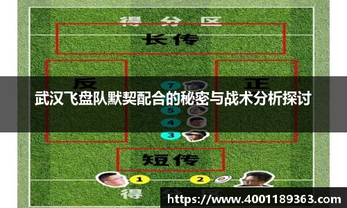 KY开元